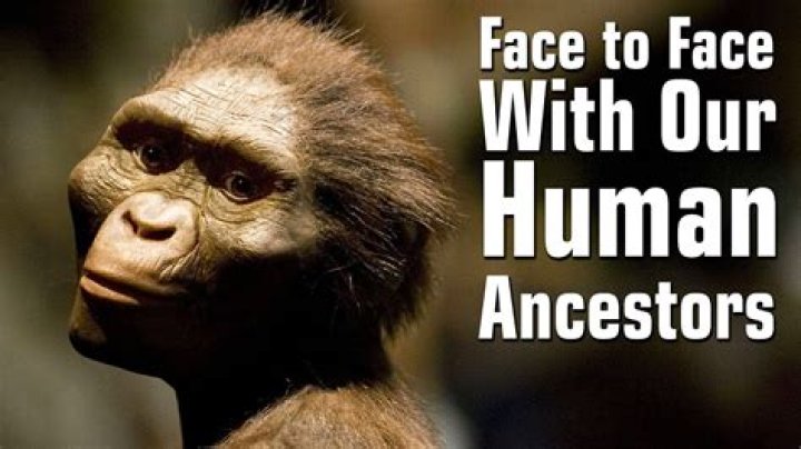 Who are our ancestor?