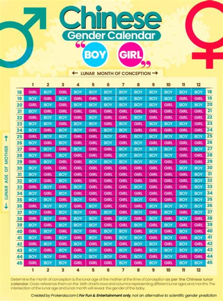 Who decides a baby's gender?