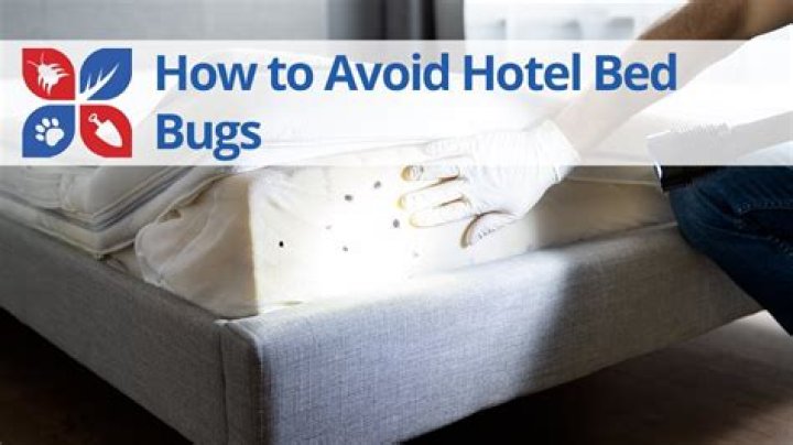 Who do you call to report bed bugs at a hotel?
