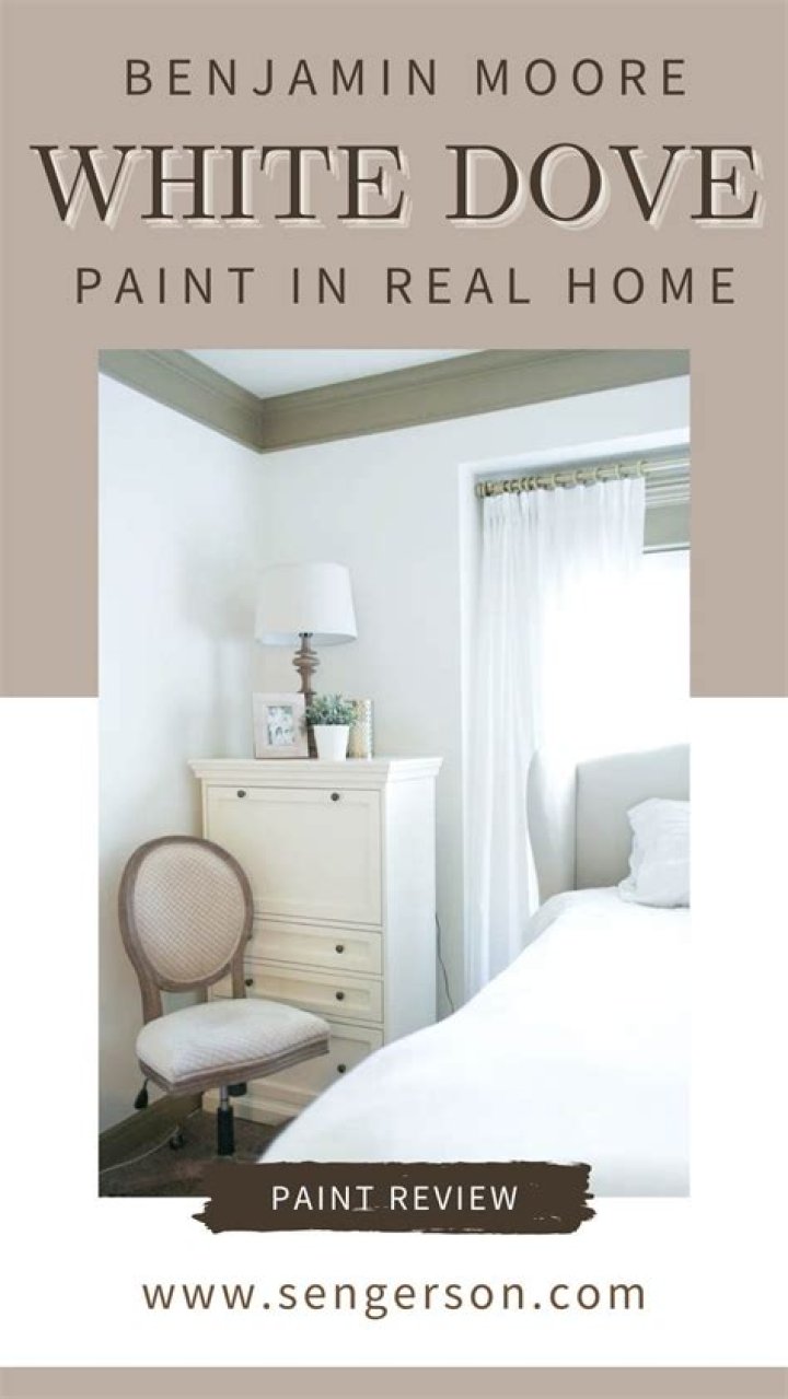 Who makes Dove white paint?