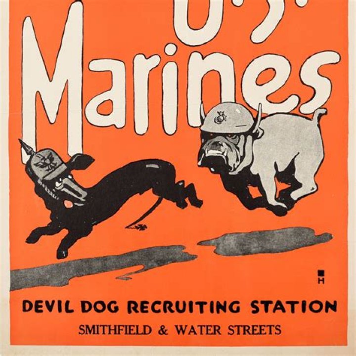 Who named the Marines Devil Dogs?