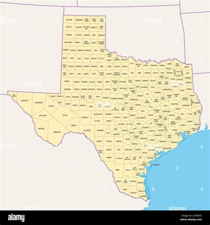 Who owns Texas Direct Auto?