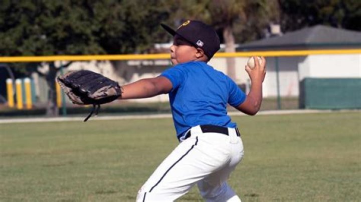 Who throws the ball in baseball?