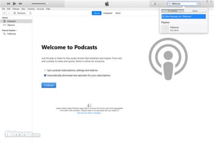 Why are iTunes downloads so slow?