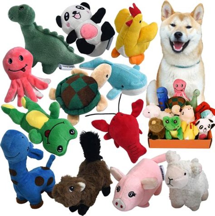 Why are there squeakers in dog toys?