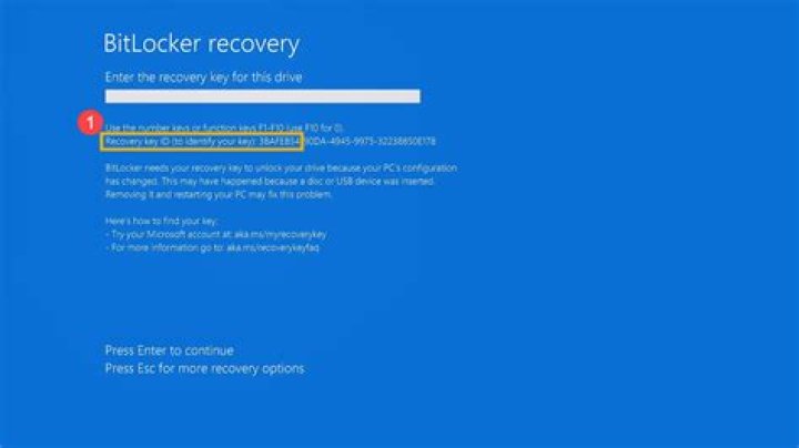 Why did BitLocker lock me out?