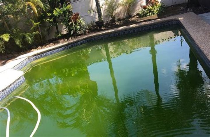 Why did my pool turn green?