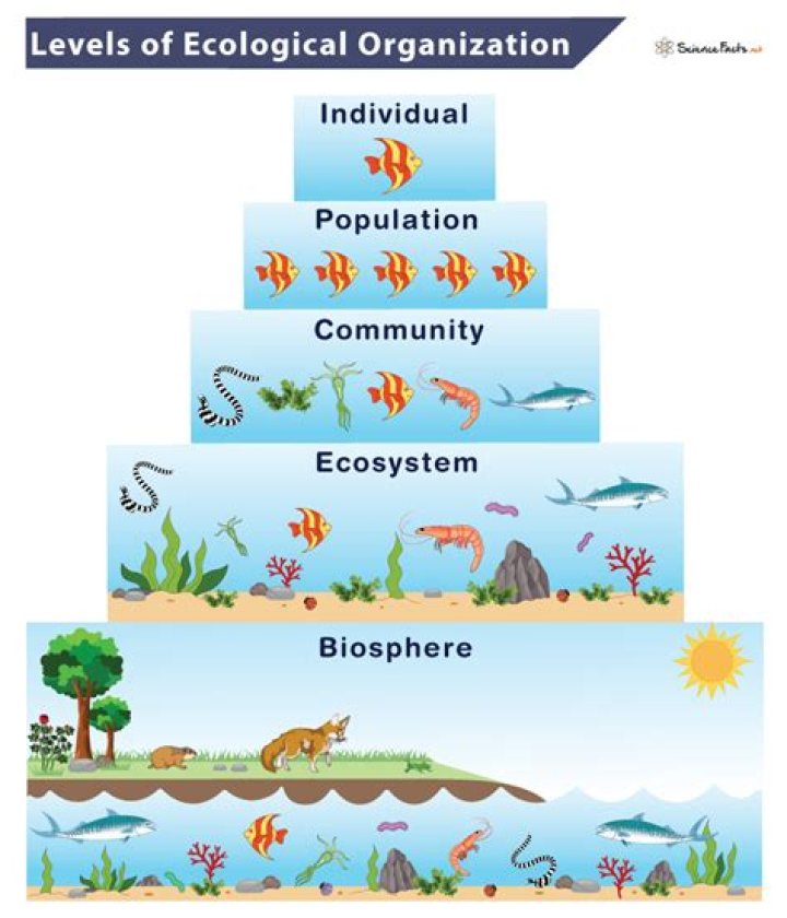 Why do ecologists ask questions about events and organisms that range?
