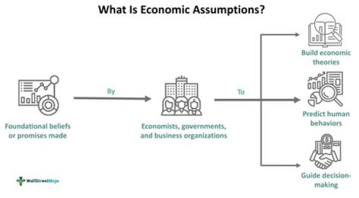 Why do economists say all resources are scarce?