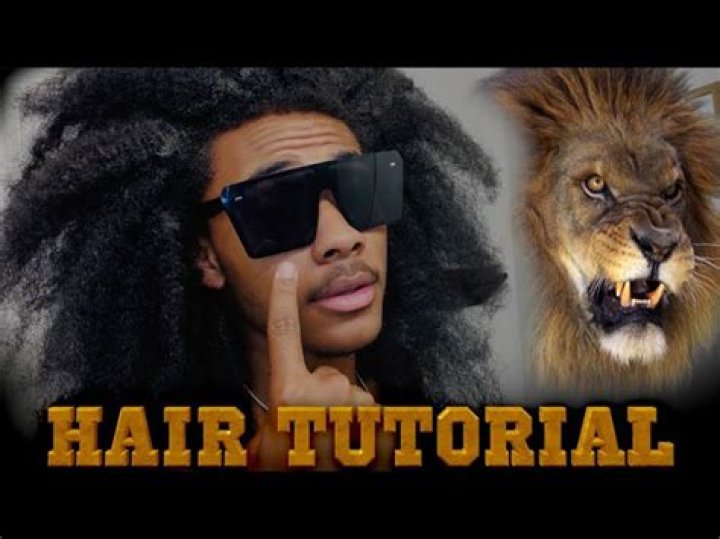 Why do male lions have hair?