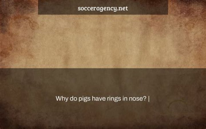Why do pigs have rings in nose?