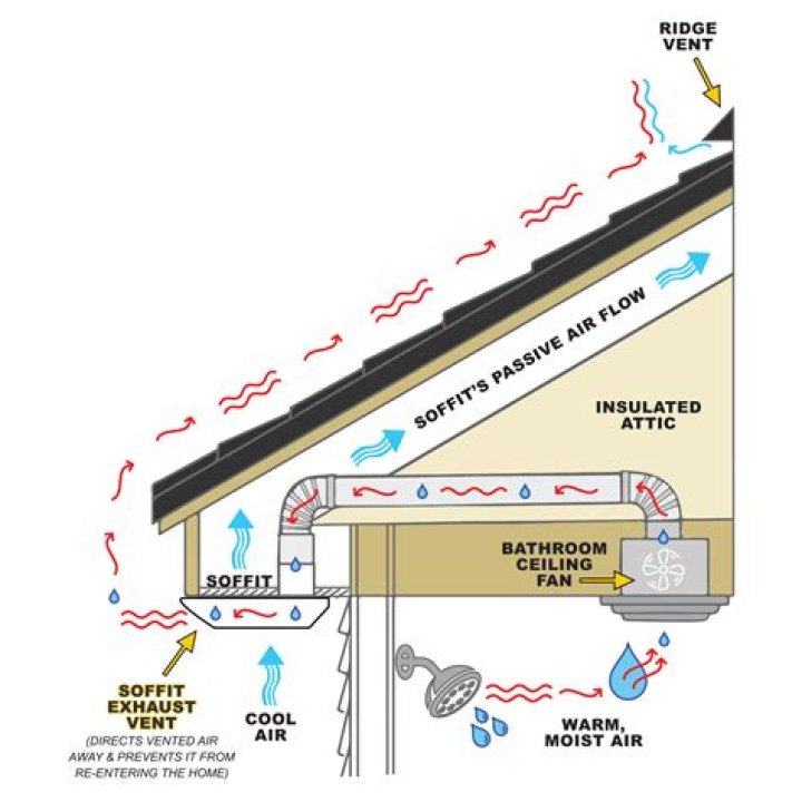 Why do roofs need ventilation?