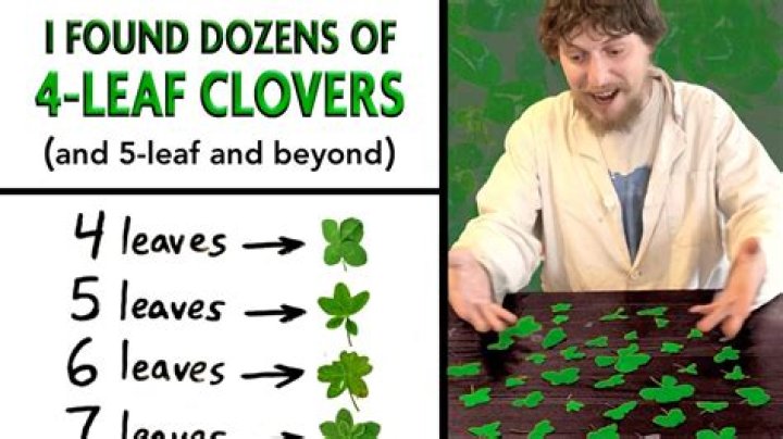 Why do some people find four leaf clovers?