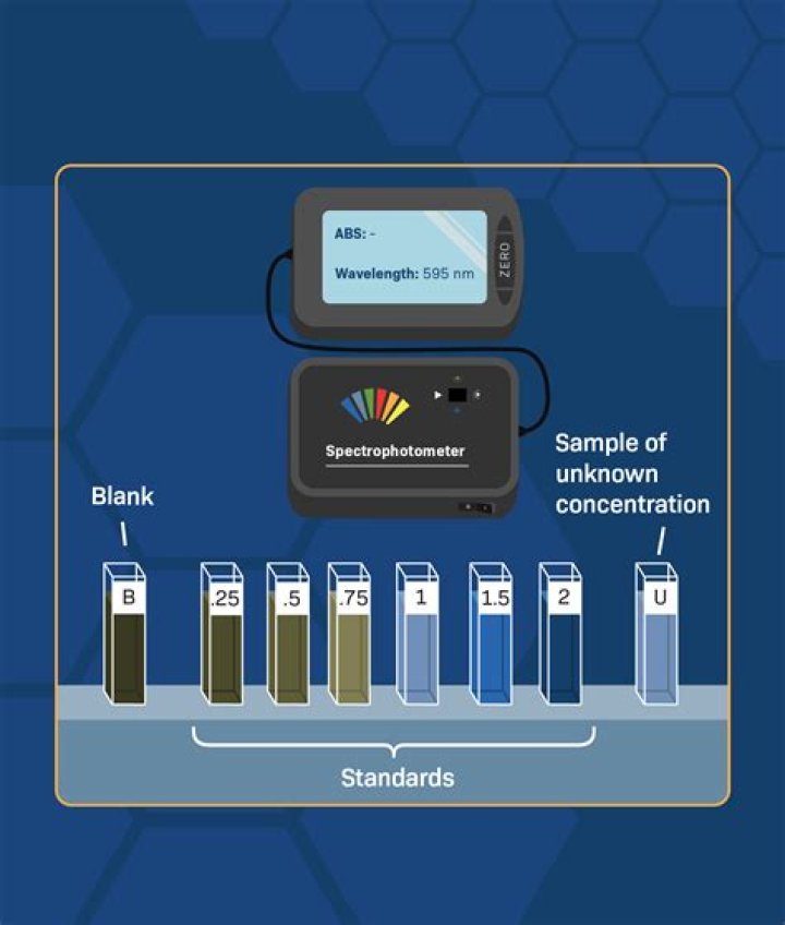 Why do we use blank in spectrophotometer?