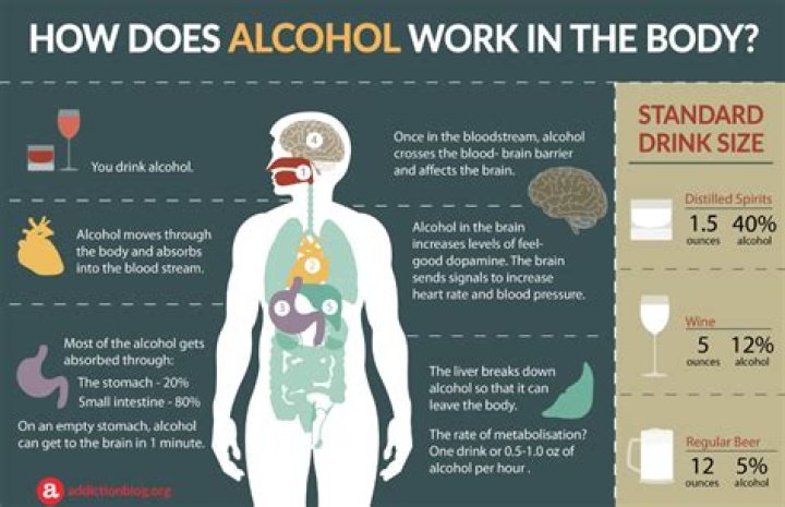 Why does alcohol dehydrate me so much?