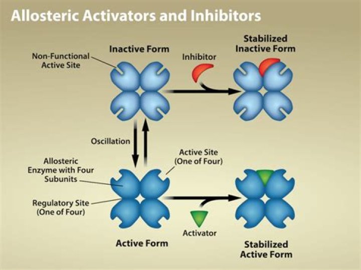 Why does allosteric site occur?