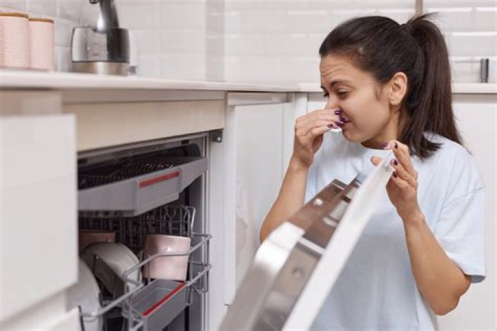 Why does my dishwasher smell like melted plastic?