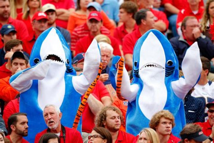 Why does Ole Miss have a shark mascot?