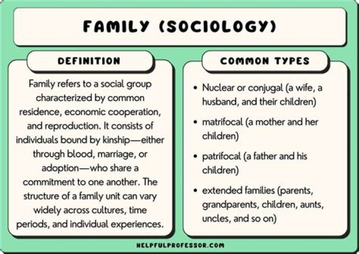 Why family is important in sociology?
