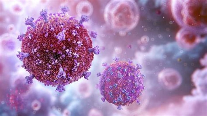 Why is a virus also considered as a parasite?