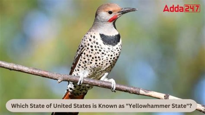Why is Alabama known as the Yellowhammer State?