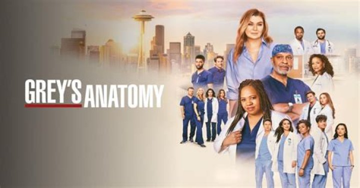 Why is it called Greys anatomy?