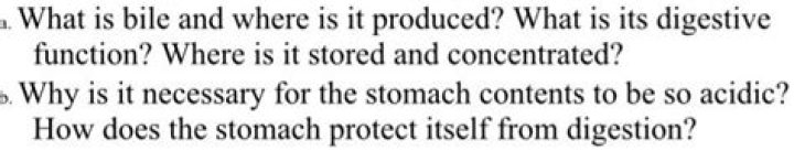 Why is it necessary for the stomach contents to be so acidic How does the stomach protect itself from digestion?