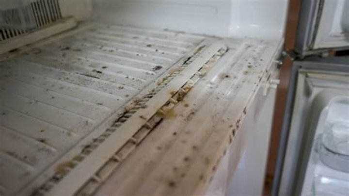 Why is the back of my fridge smelling?