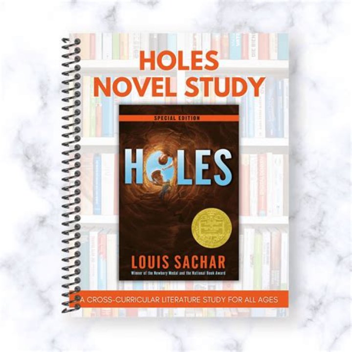 Why is the book holes called Holes?