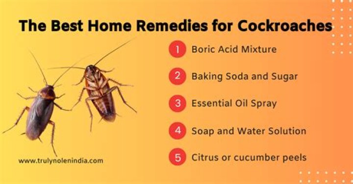 Will cleaning with bleach get rid of roaches?