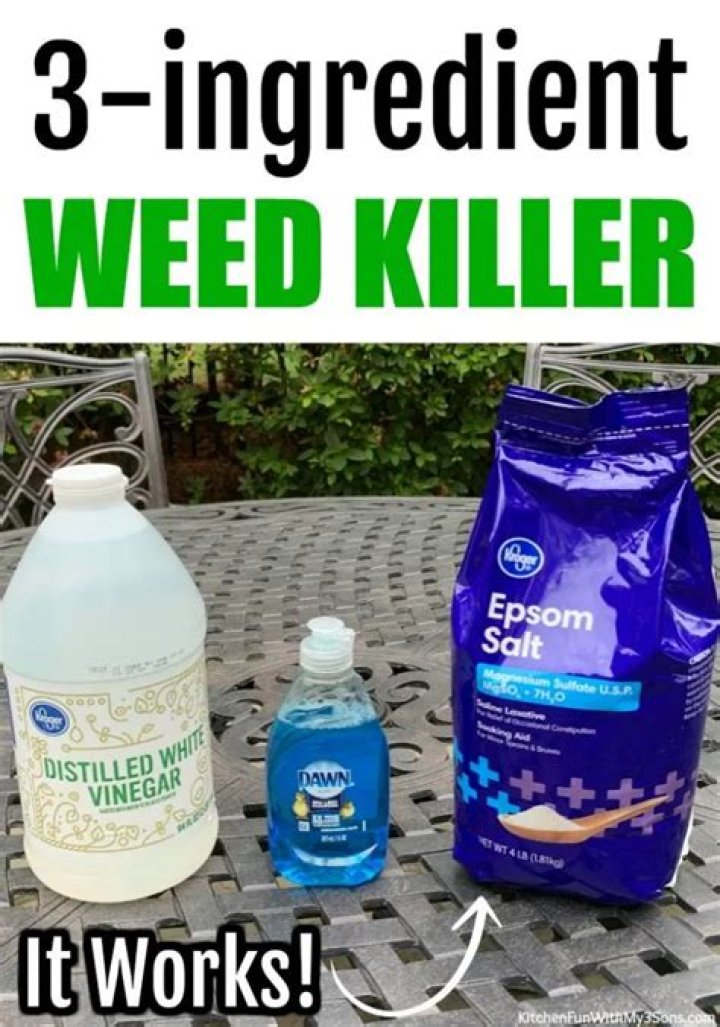 Will dish soap kill my lawn?